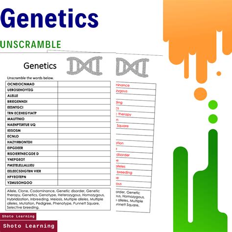 The process of DNA replication, including names of. . Genetic unscramble